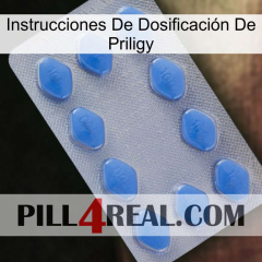 Instrucciones De Dosificación De Priligy 21